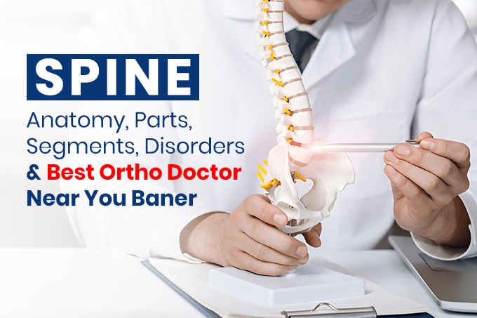 Spine: Anatomy, Parts, Segments, Disorders & Best Ortho Doctor Near You in Baner