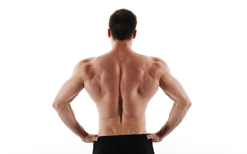 8 Rules for a Healthy Back